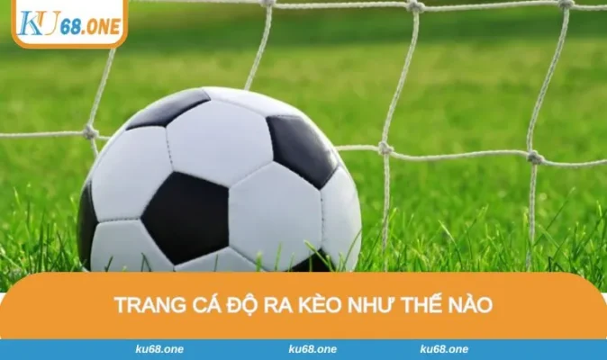 Trang Cá Độ Ra Kèo Như Thế Nào