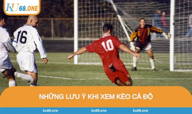 Hội viên cần theo dõi thường xuyên để có thông tin mới nhất