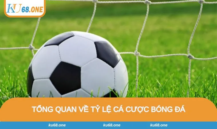 Tỷ lệ cá cược bóng đá rất cần thiết khi dự đoán kèo